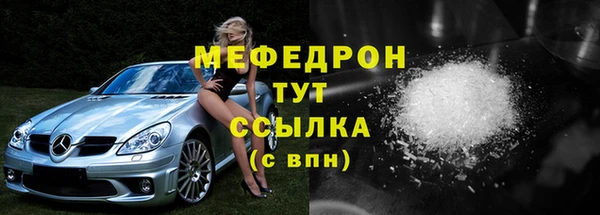 гашик Ельня