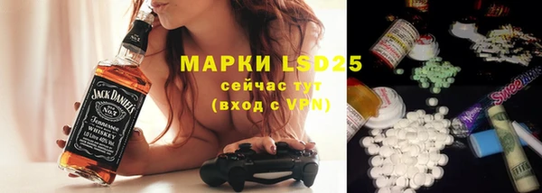 гашик Ельня