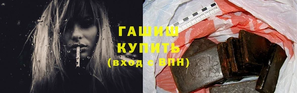 гашик Ельня