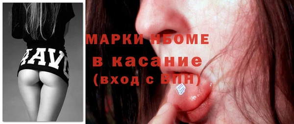гашик Ельня