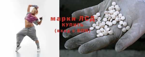 гашик Ельня