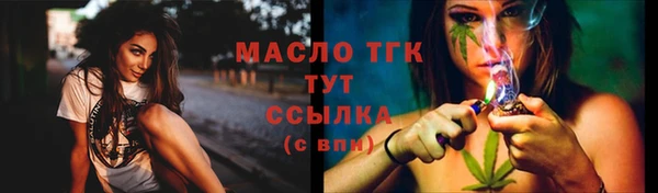 гашик Ельня