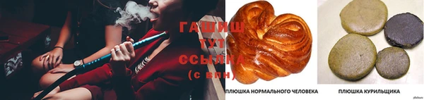 прущие крисы Елизово