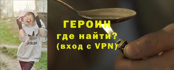 гашик Ельня