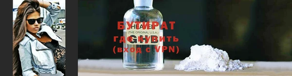 гашик Ельня