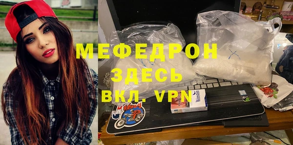 гашик Ельня