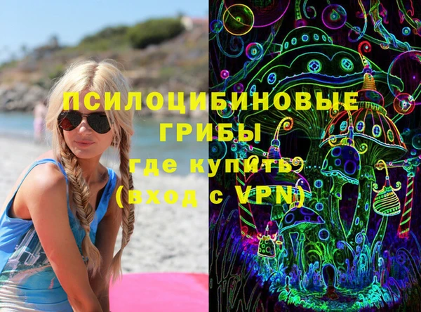 гашик Ельня