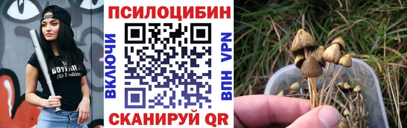 наркотики  Киселёвск  Псилоцибиновые грибы Magic Shrooms 
